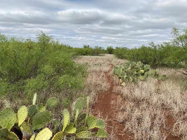 75 Acres of Recreational Land & Farm for Sale in Westbrook, Texas