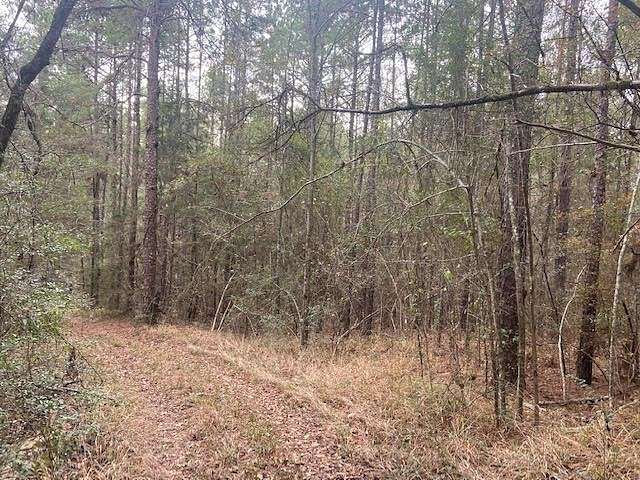 39 Acres of Land for Sale in Quitman, Mississippi