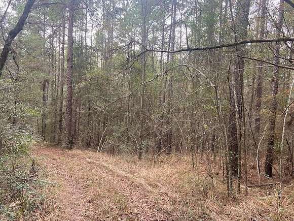 39 Acres of Land for Sale in Quitman, Mississippi