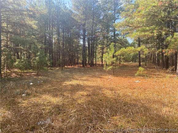 1 Acre of Residential Land for Sale in St. Pauls, North Carolina
