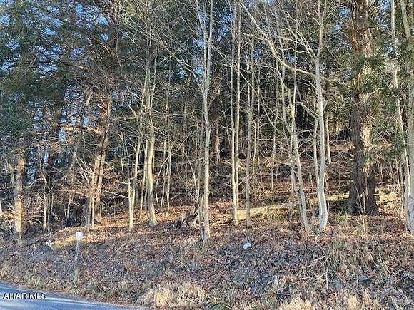 40.2 Acres of Land for Sale in Pleasantville, Pennsylvania