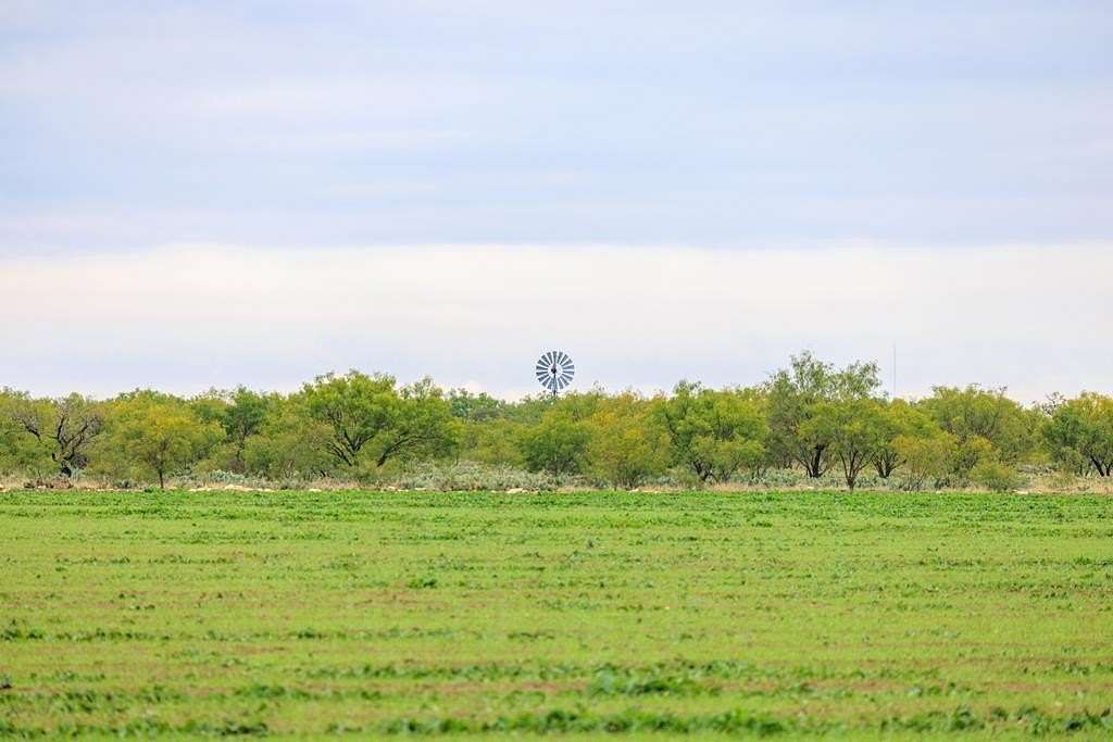 653.54 Acres of Land for Sale in Eldorado, Texas