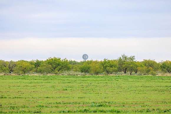 653.54 Acres of Land for Sale in Eldorado, Texas