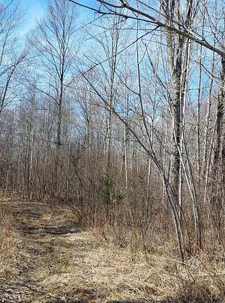 197 Acres of Land for Sale in Ogema, Wisconsin