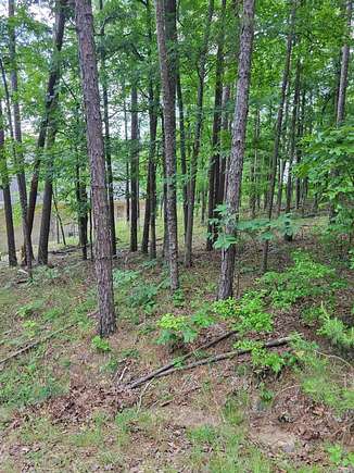 0.05 Acres of Residential Land for Sale in Hot Springs, Arkansas