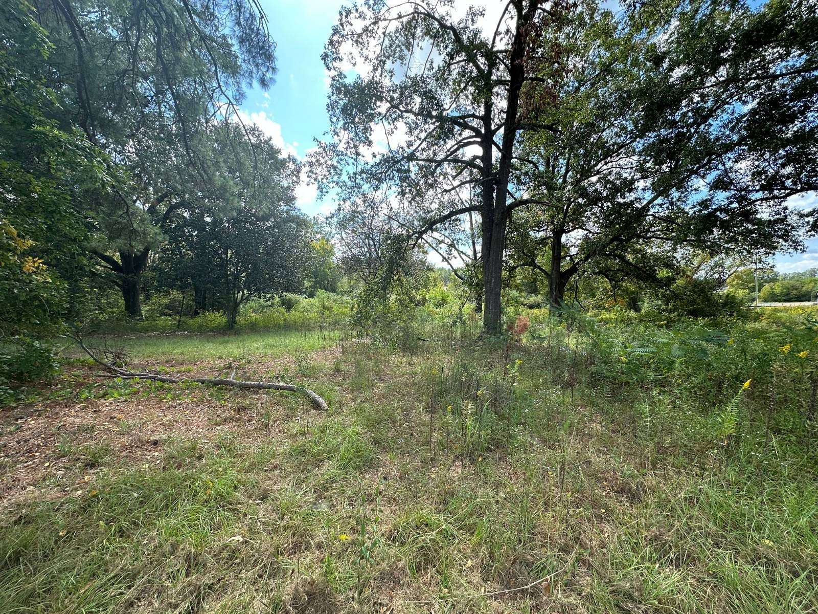 1.9 Acres of Commercial Land for Sale in Many, Louisiana