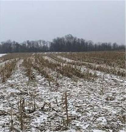 12 Acres of Land for Sale in Maple Lake Township, Minnesota