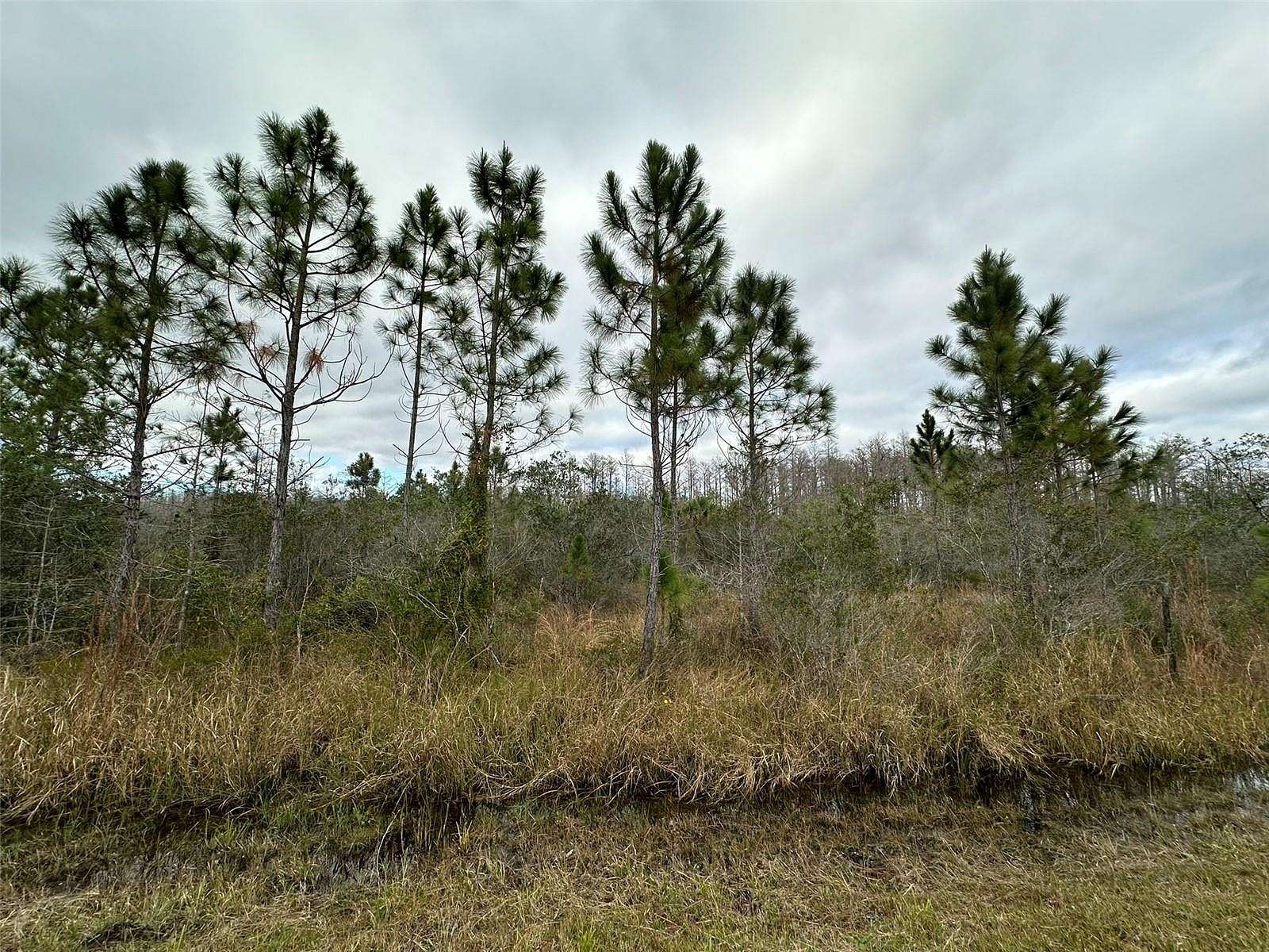 0.92 Acres of Residential Land for Sale in St. Cloud, Florida