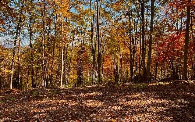 2.7 Acres of Land for Sale in Hayesville, North Carolina