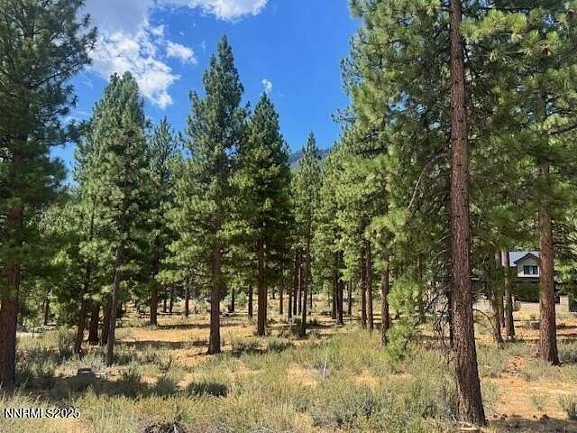 0.86 Acres of Residential Land for Sale in Carson City, Nevada