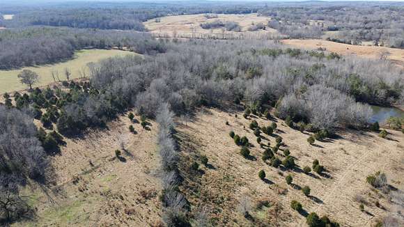 50.3 Acres of Agricultural Land for Sale in Grand Junction, Tennessee