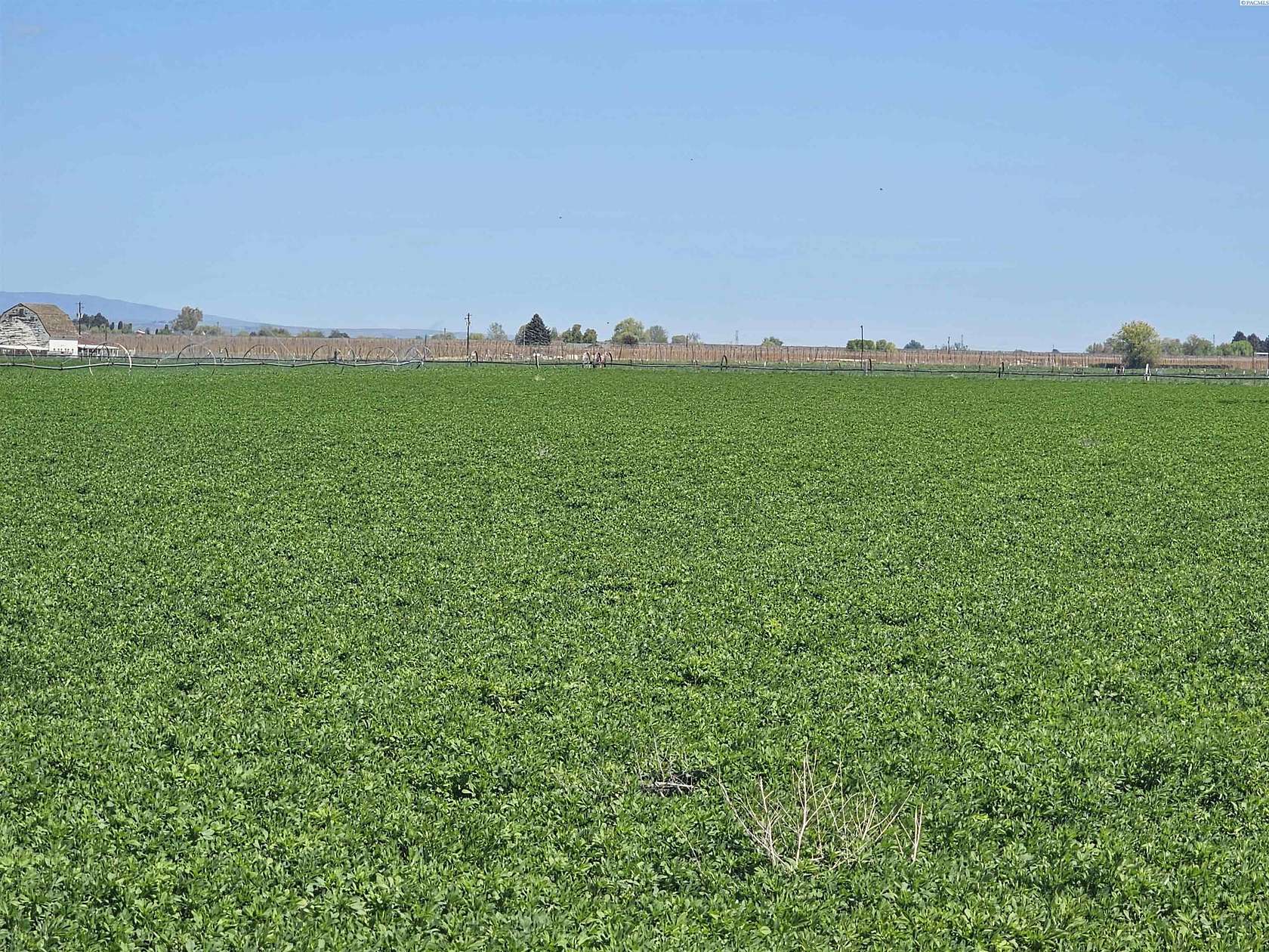 23.4 Acres of Agricultural Land for Sale in Sunnyside, Washington