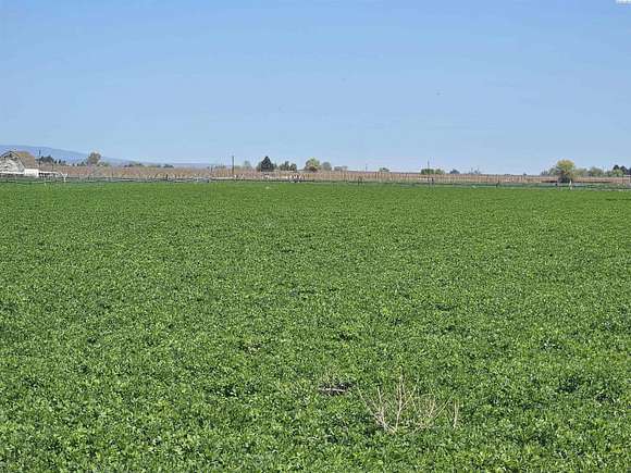 23.4 Acres of Agricultural Land for Sale in Sunnyside, Washington