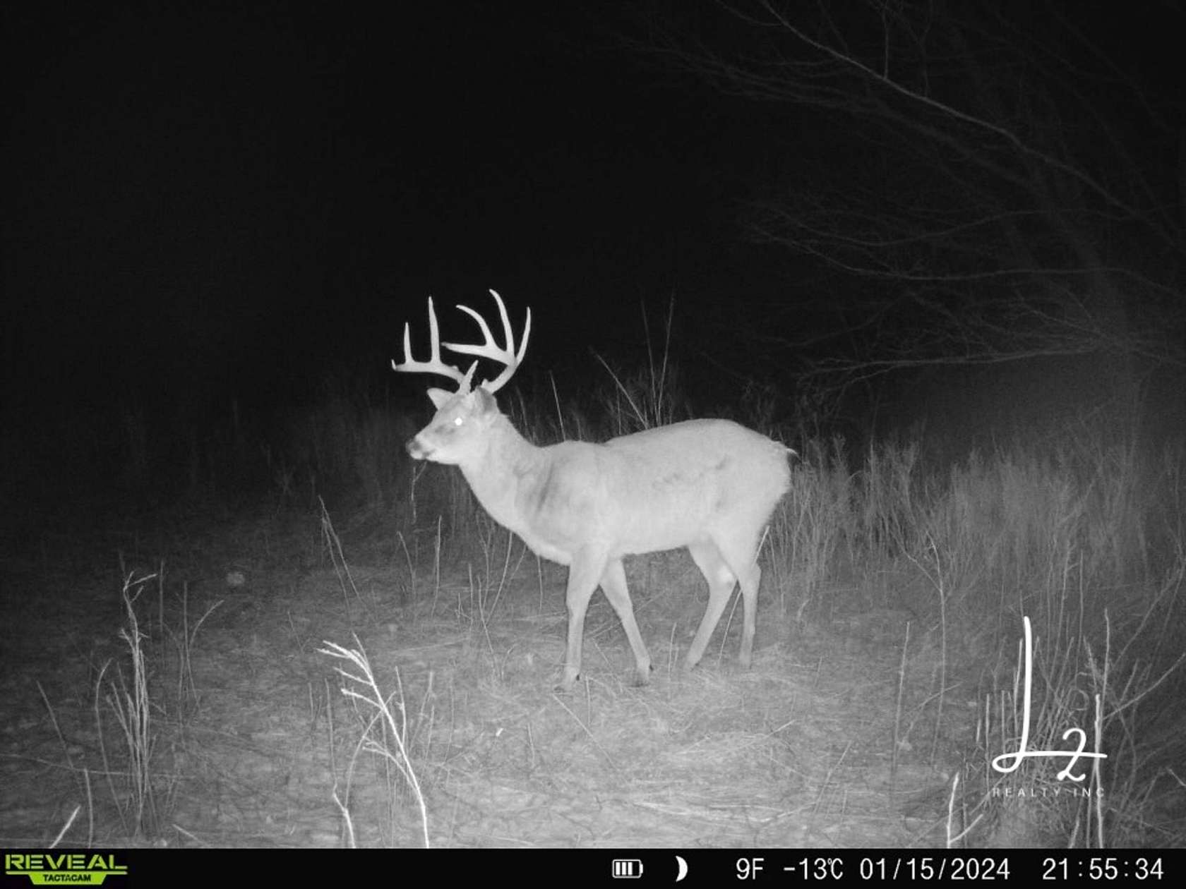 80 Acres of Recreational Land for Sale in Yates Center, Kansas LandSearch