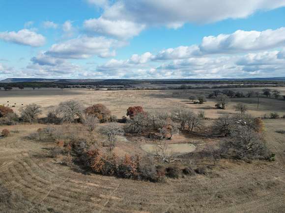 133 Acres of Recreational Land & Farm for Sale in Baird, Texas