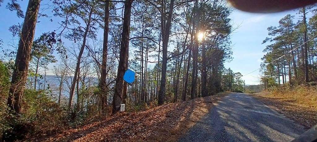 0.33 Acres of Residential Land for Sale in Abbeville, Alabama