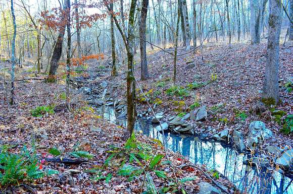 160 Acres of Recreational Land for Sale in Waldron, Arkansas