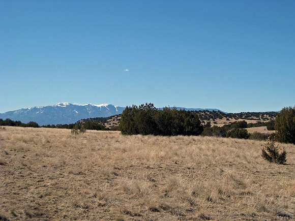 80.5 Acres of Agricultural Land for Sale in Pueblo, Colorado