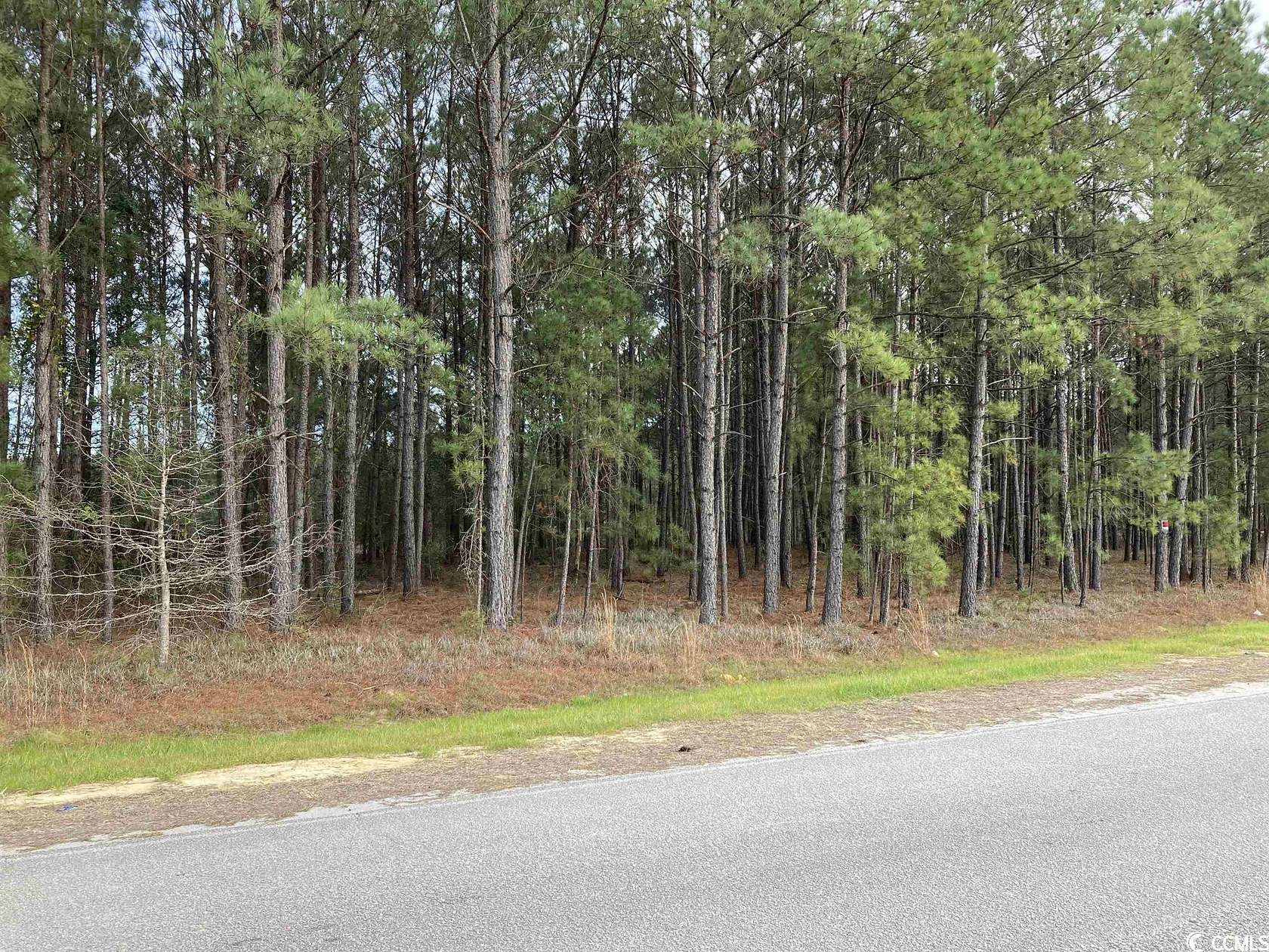 15.8 Acres of Land for Sale in Longs, South Carolina