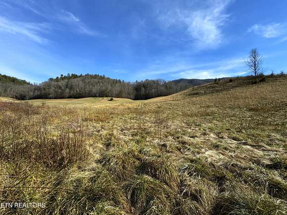 15 Acres of Land for Sale in Del Rio, Tennessee
