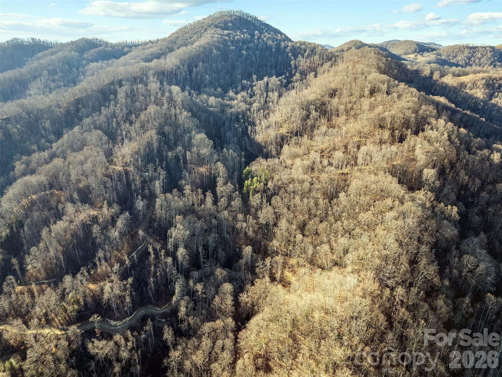 100 Acres of Recreational & Residential Land for Sale in Spring Creek, North Carolina