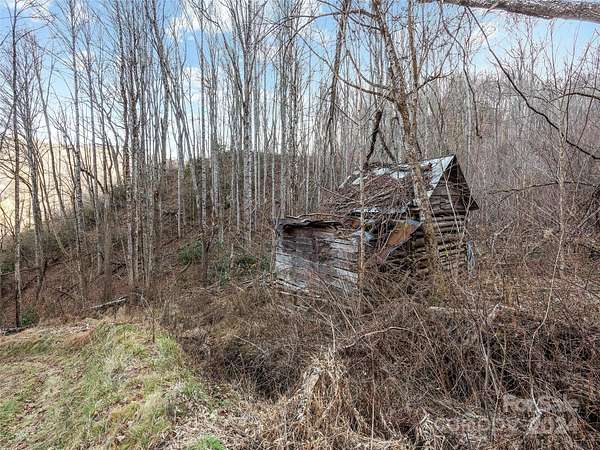 100 Acres of Recreational Land for Sale in Spring Creek, North Carolina