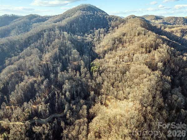 100 Acres of Recreational & Residential Land for Sale in Spring Creek, North Carolina