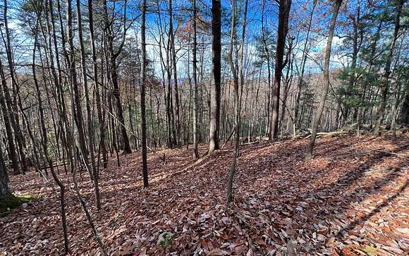 0.63 Acres of Residential Land for Sale in Ellijay, Georgia