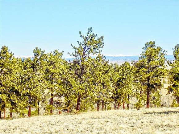 5.4 Acres of Residential Land for Sale in Hartsel, Colorado