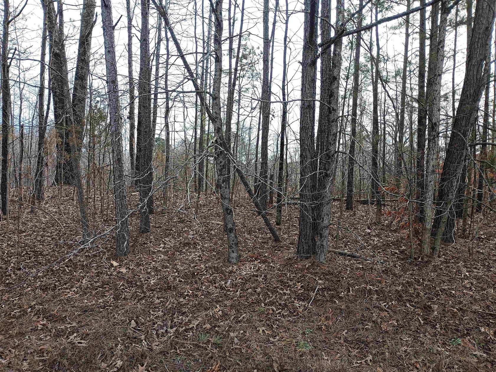 4.5 Acres of Residential Land for Sale in Medon, Tennessee