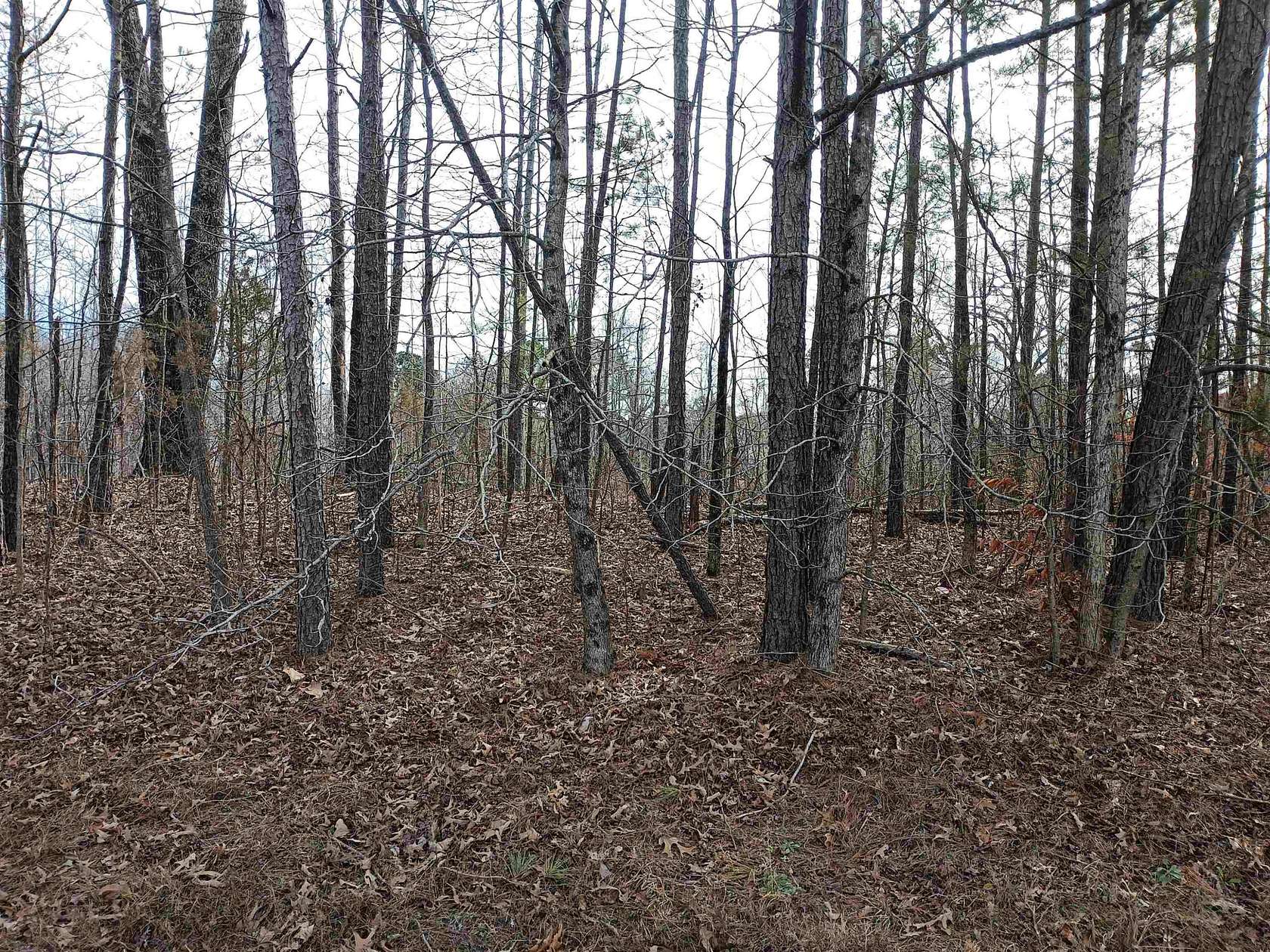 4.5 Acres of Residential Land for Sale in Medon, Tennessee