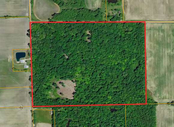 47 Acres of Recreational Land for Sale in Waterloo, Indiana