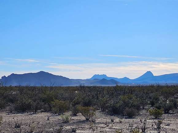 20 Acres of Land for Sale in Terlingua, Texas