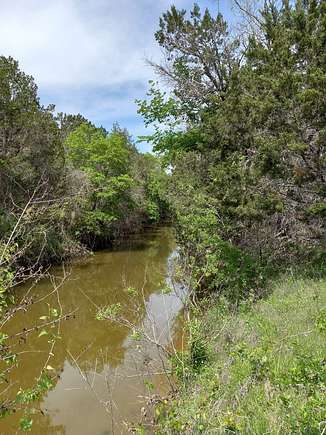 20 Acres of Recreational Land & Farm for Sale in Purmela, Texas