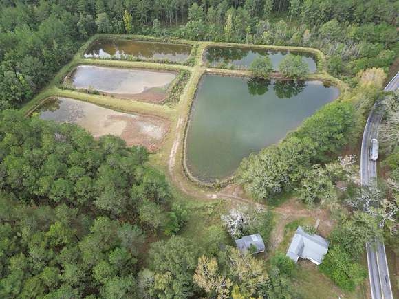 62.8 Acres of Land for Sale in Osyka, Mississippi
