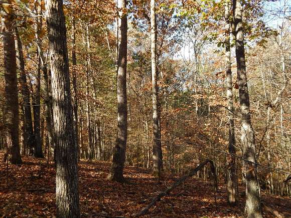 148 Acres of Land for Sale in Collinwood, Tennessee