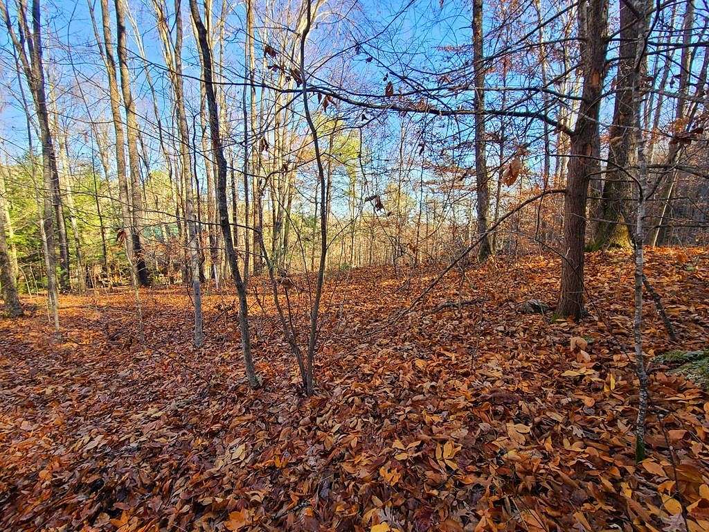 0.96 Acres of Residential Land for Sale in Sevierville, Tennessee