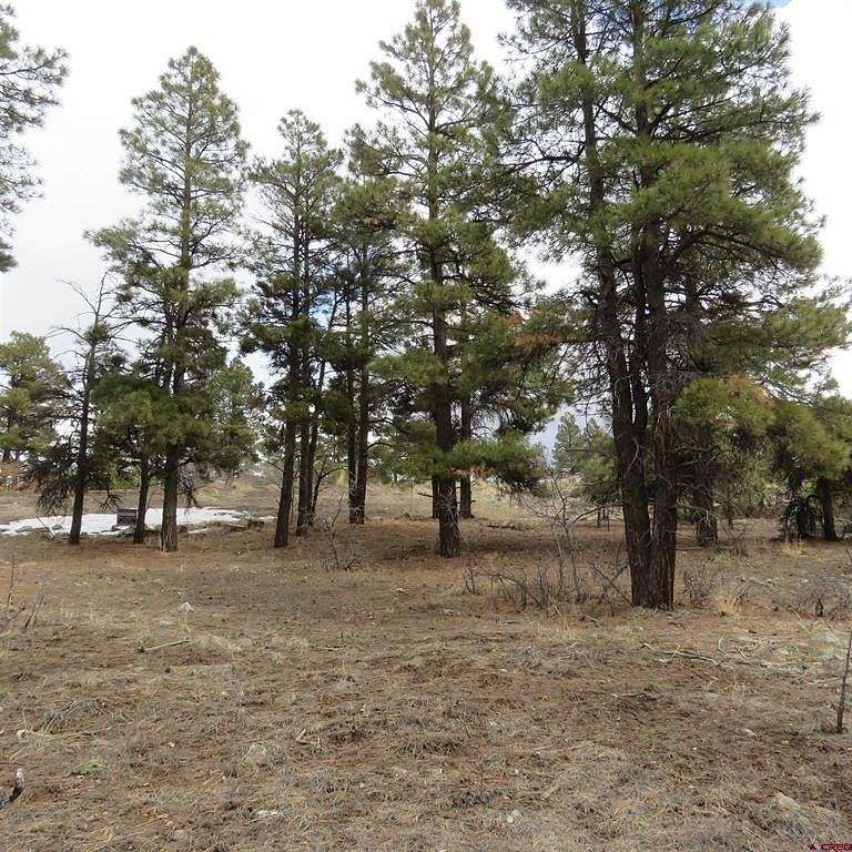 1.29 Acres of Residential Land for Sale in Pagosa Springs, Colorado