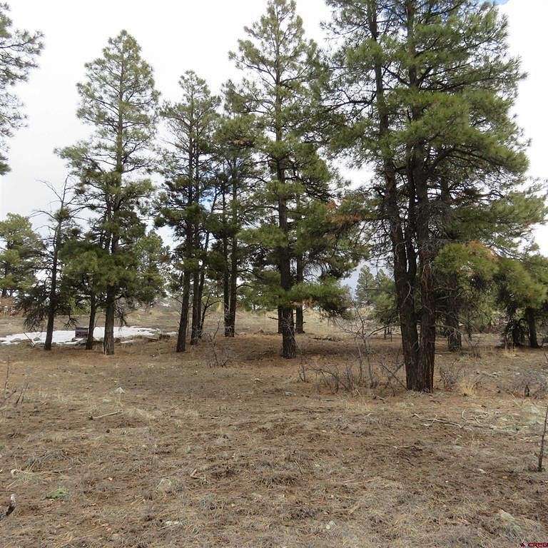 1.3 Acres of Residential Land for Sale in Pagosa Springs, Colorado