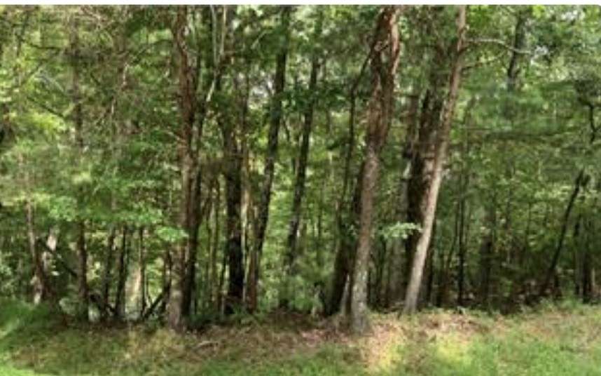 0.64 Acres of Land for Sale in Ellijay, Georgia