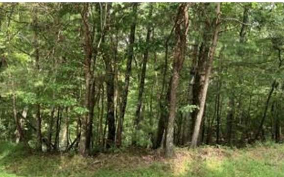 0.64 Acres of Land for Sale in Ellijay, Georgia