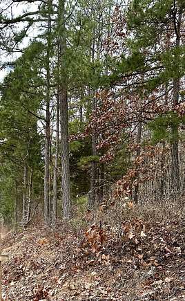 16.8 Acres of Recreational Land for Sale in Eminence, Missouri