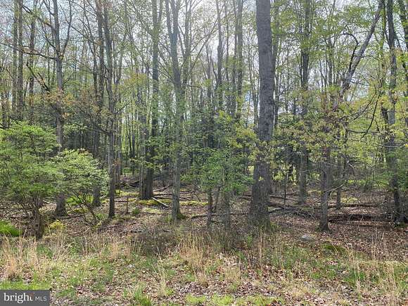 0.32 Acres of Land for Sale in Drums, Pennsylvania