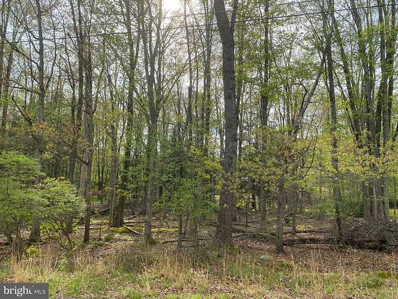 0.31 Acres of Land for Sale in Drums, Pennsylvania