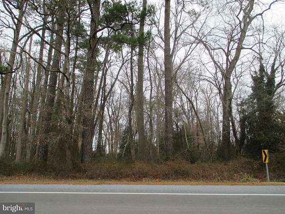 1.1 Acres of Land for Sale in Frankford, Delaware