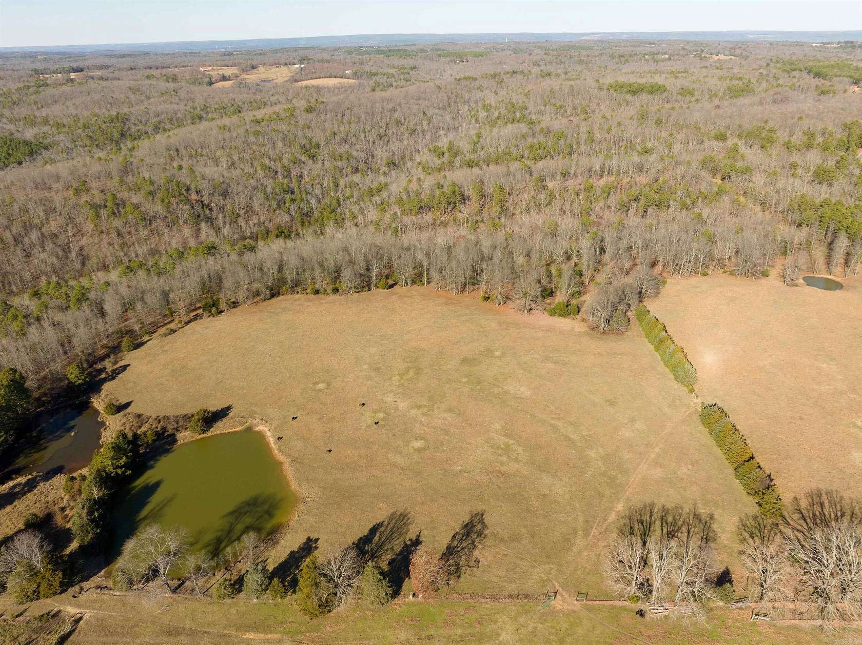 80 Acres of Agricultural Land for Sale in Heber Springs, Arkansas