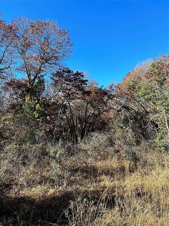 3 Acres of Land for Sale in Cisco, Texas