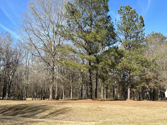 7 Acres of Residential Land for Sale in Waynesboro, Georgia