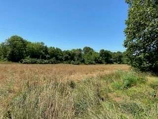 29 Acres of Recreational Land & Farm for Sale in Brownstown, Illinois