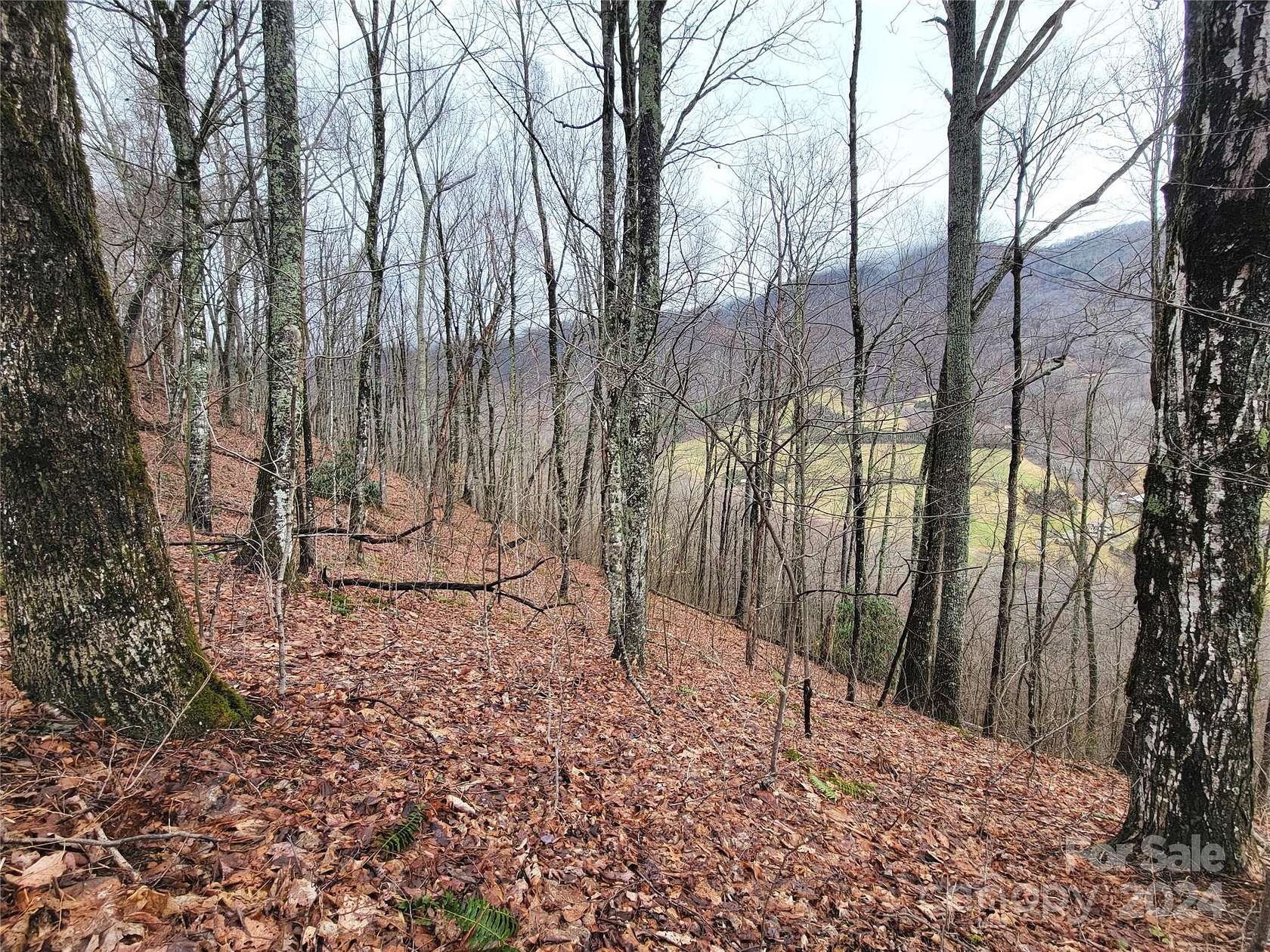 3.94 Acres of Land for Sale in Waynesville, North Carolina